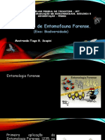 Apresentação - Diversidade de Entomofauna Forense - BD