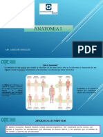 TEMA 1..anatomia 1