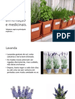 Plantas para Tempero, Alimentação e Medicinais