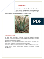 Plantas Medicinales 6 Con IMAGEN y Propiedades Que Curan