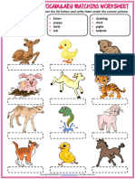 Baby Animals Esl Vocabulary Multiple Choice Worksheet For Kids | PDF