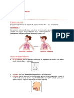 Tema 1 - El Aparato Respiratorio