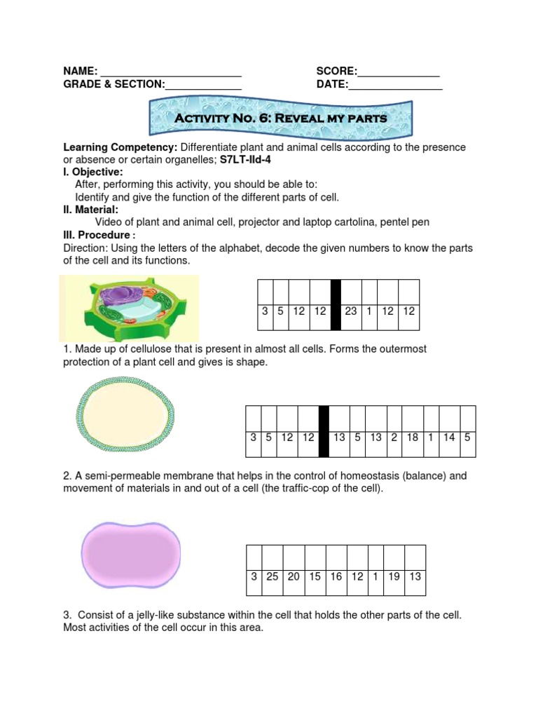 Cell Structure and Function Activity | PDF | Cell (Biology ...