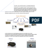 Travaux Sur Les Roches Carbonnees