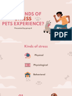 The different types of stress pets experience and how to help them
