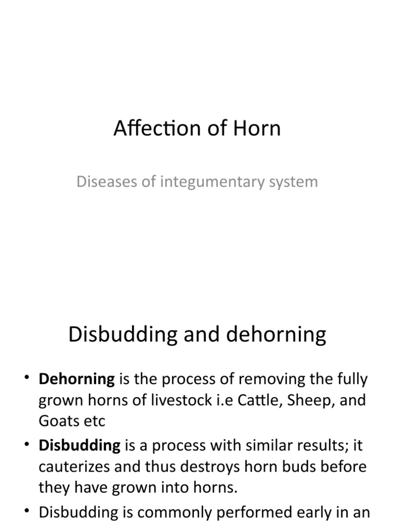 Affection of Horn Diseases of Integumentary System PDF Surgery