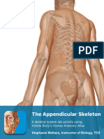 Lab Manual - Appendicular - Skeleton - Atlas