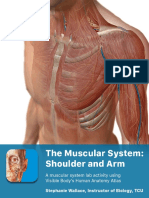 Lab Manual Muscular Shoulder+arm Atlas