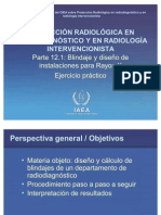 RPDIR P12.1 Es WEB