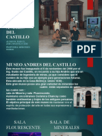 Visita Museo Andres Del Castillo