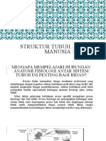 Struktur Tubuh Manusia