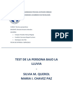 Informe Psicologico - Persona Bajo La Lluvia