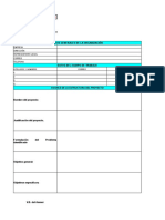 Formato 2 - Informe Preliminar