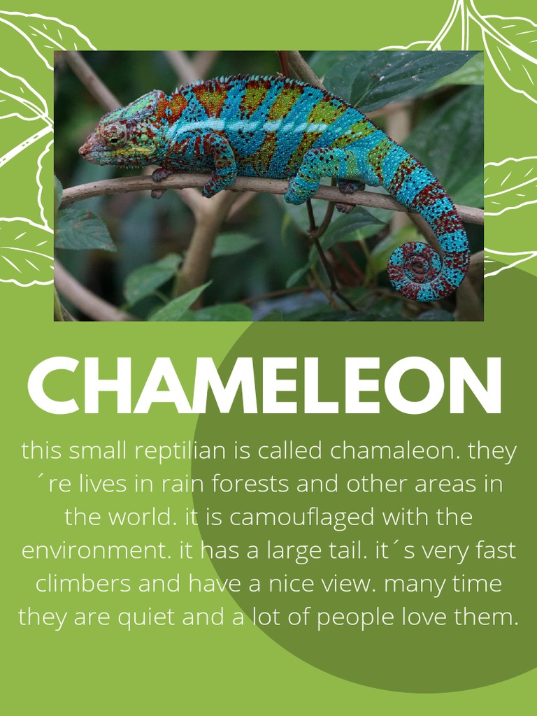 chameleon | PDF