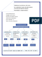 Bioquimica Ciclo Del Nitrogeno