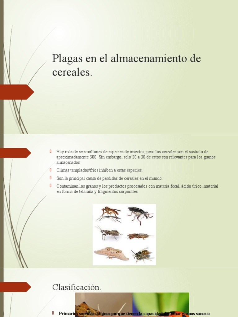 Control de plagas en cereales almacenados | PDF | Hogar, jardinería y ...