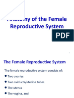Anatomy of The Female Reproductive System