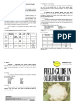 Field Guide in Cauliflower Production Revised Nov