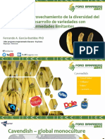 FdoGarciaBastidas Foro Bananero