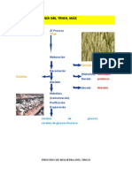 Procesos de molienda y transformación del trigo y maíz