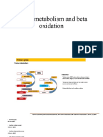 Purine Metabolism and Beta Oxidation