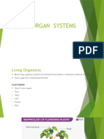 Major Organ Systems (Form 1)