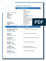 CV Diseñadora Gráfica Ingeniera Computación Experiencia Laboral Formación