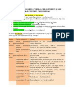 Posibilitati Combinatorii Ale Pronumelui Si Ale Adjectivului Pronominal