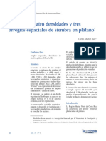 Prueba de Cuatro Densidades y Tres Arreglos Espaciales de Siembra en Plátano