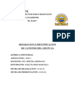 Separación e identificación de cationes del grupo 2A (SEICG2A