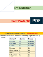 Plant Nutrient Deficiency