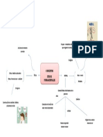 Mapa MORAL Y ETICA