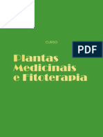 Abordagem holística em fitoterapia e alimentação