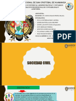 Sociedad Civil