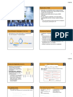 Biosynthesis of Nucleic Acids: Replication