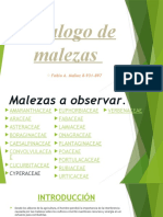 Catalogo de Malezas - Fabio Muñoz