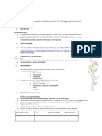 Informe Final Evaluación Multidimensional de La Discapacidad Intelectual