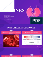 Funciones de Los Riñones