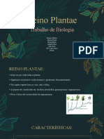 Reino Plantae