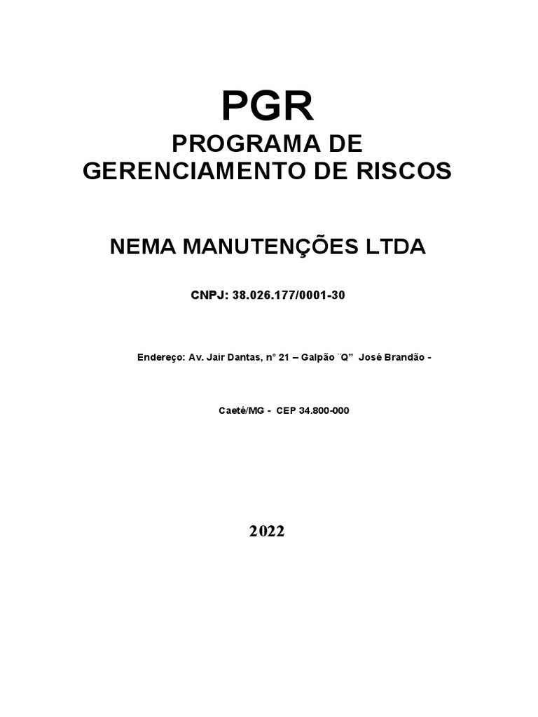 Programa de Gerenciamento de Riscos | PDF