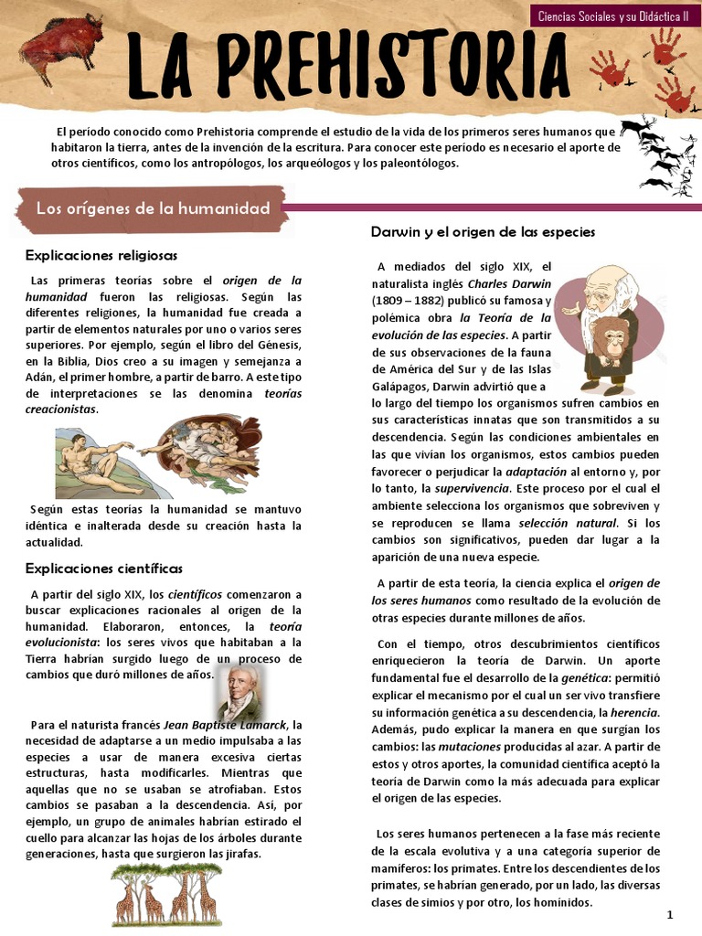 Orígenes y evolución de la humanidad | PDF | Homo | Evolución