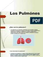 Los Pulmones