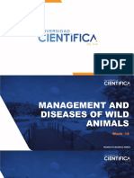 Wild Animal Mammal Medicine and Diseases