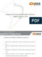 Clase 11 Anatomía Funcional Pierna Pie MYF201 202020 F