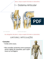 Aula 03 - Sistema Articular Aluno 2022