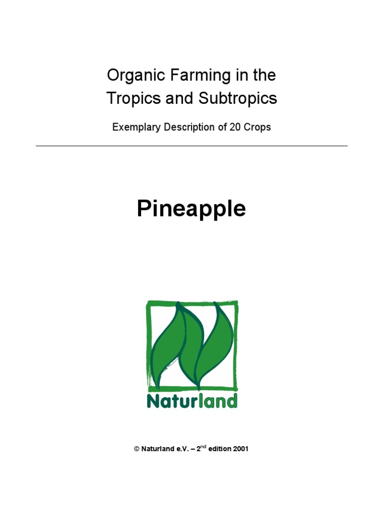 Pineapple | PDF | Technology & Engineering