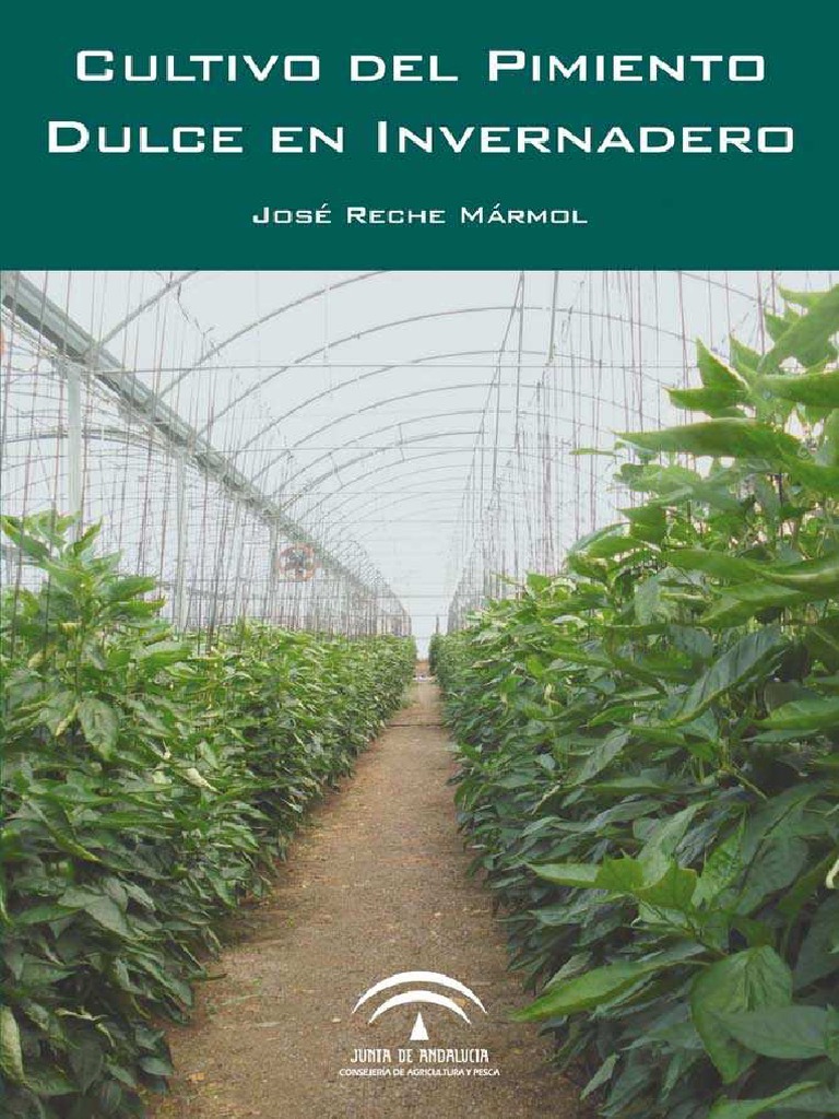 Cultivo Pimiento Invernadero | PDF | Pimiento | Pimienta negra, image size:768x1024