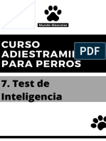 Test de Inteligencia