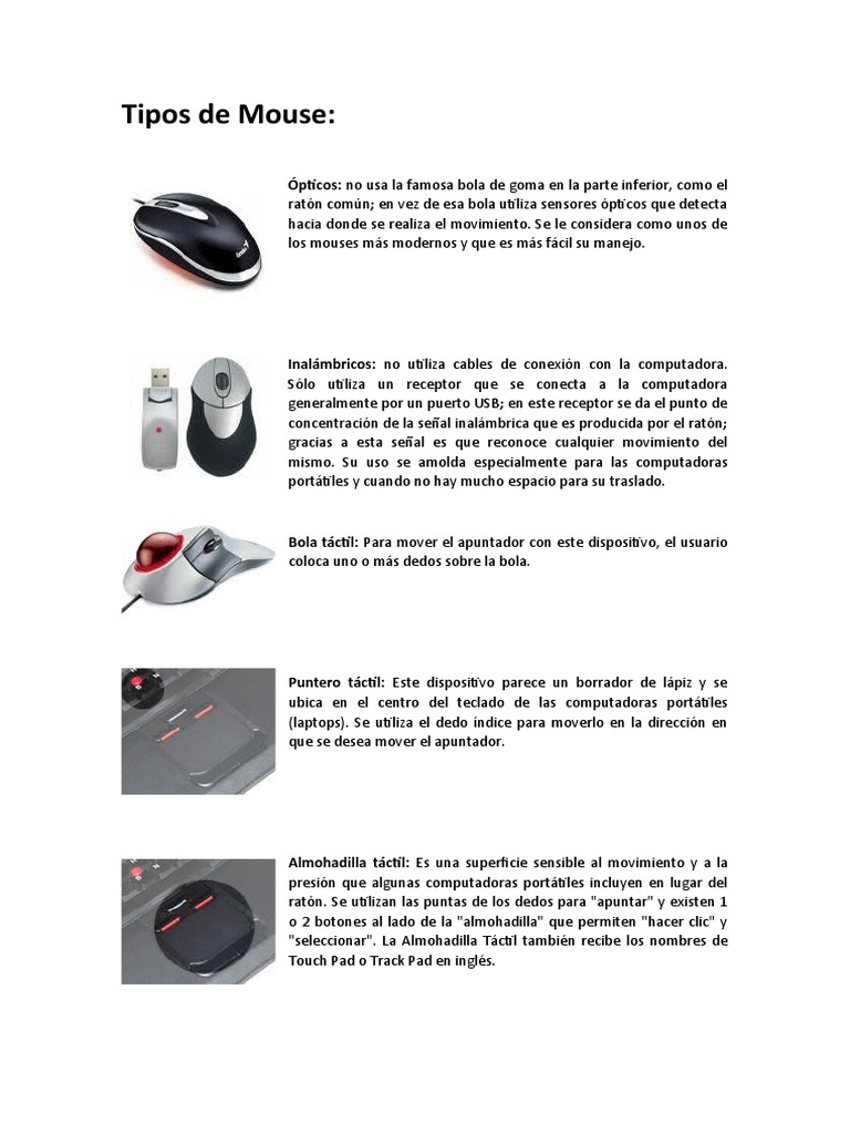 Tipos de Mouse | PDF | Almacenamiento de datos de la computadora ...