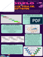 Infografia Ciclo de Vida Del Software